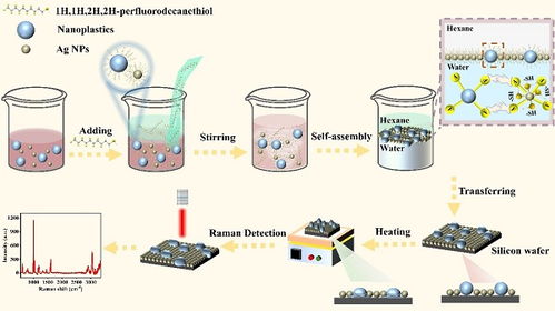 表面增強拉曼散射檢測新策略及其在自然科學(xué)研究和試驗發(fā)展中的應(yīng)用前景